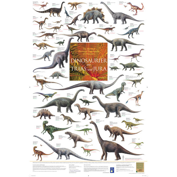 Bio-Poster "Dinosaurier aus Trias und Jura"